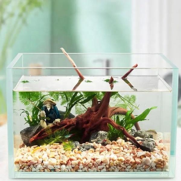 Customizable Laminated Glass Fish Tank the Ultimate Decorative Choice for Dining