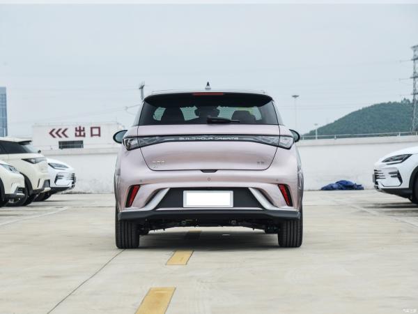 2024 Byd Dolphin EV Honor Editon 401 Knight Versão Carro com Direção Esquerda Benefício