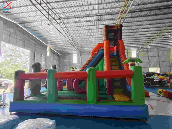 Inflatble Exotic Bouncy House With Internal Slide Combo Jumping Castle