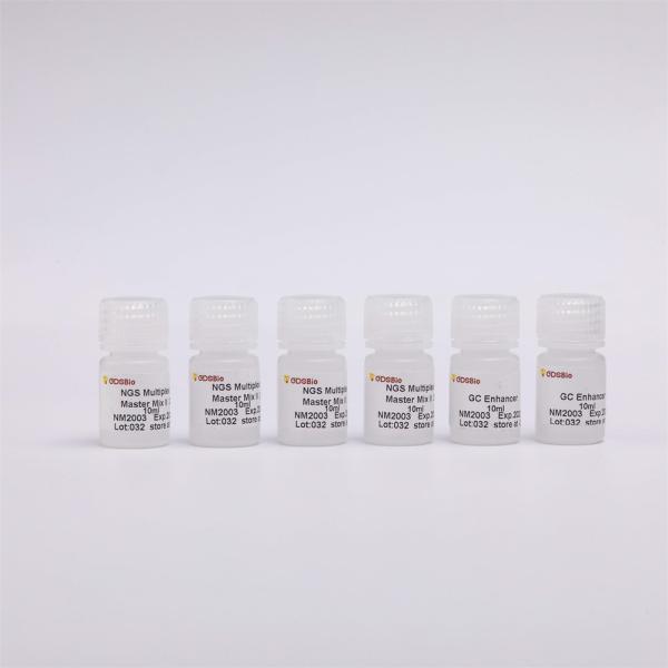 2X NGS Library Construction Multiplex PCR Master Mix 2000 Reactions