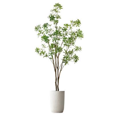 Decoração artificial da sala da madeira da planta verde dos ornamento em pasta do assoalho
