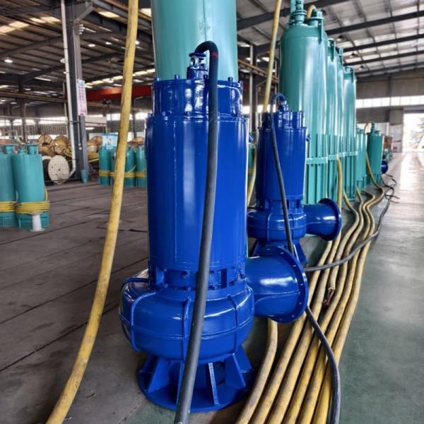 75kw 800m³/H Flow 20m Wq Submersible Sewage Pump Discharge Agricultural Submersible Water Pump