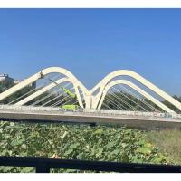 Puente de acero resistente a la corrosión Puente peatonal