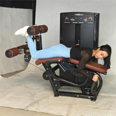 Leg Extension Leg Curl Indoor Commercial Pin Loaded Gym Equipment