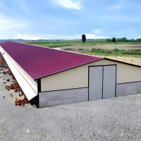 Structure en acier cadre métallique maison de poulet préfabriquée