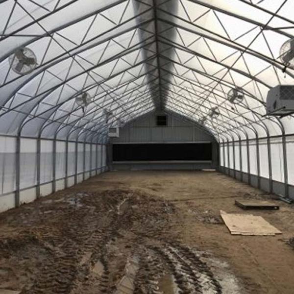 Panne d'électricité automatique de serre chaude de profondeur de tunnel d'envergure simple pour la culture d'usines