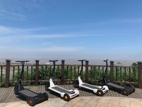 CE Alu Alloy 25km/h Waterproof Electric Scooter