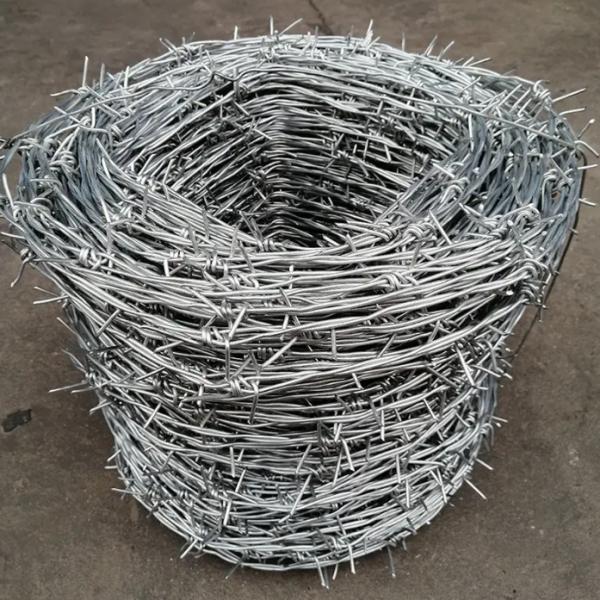 350mm Coil Diameter Galvanized Barbed Wire Corrosion Resistance