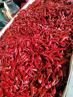 3CM высушенные птицы наблюдают стручки Chili чилей едкие красные обезвоженные без стержня