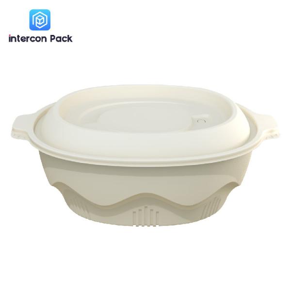 Bagasse Cornstarch Disposable Plates Eco Friendly For Food Packaging