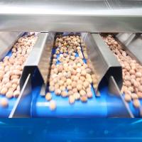 Canales rotatorios de la máquina 8 de Lotus Seed Sorting And Grading de la exploración de 360 grados
