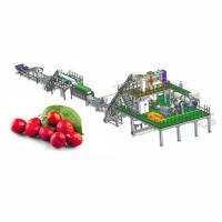Chaîne de fabrication extraction et battement de jujube automatique de 50T/H