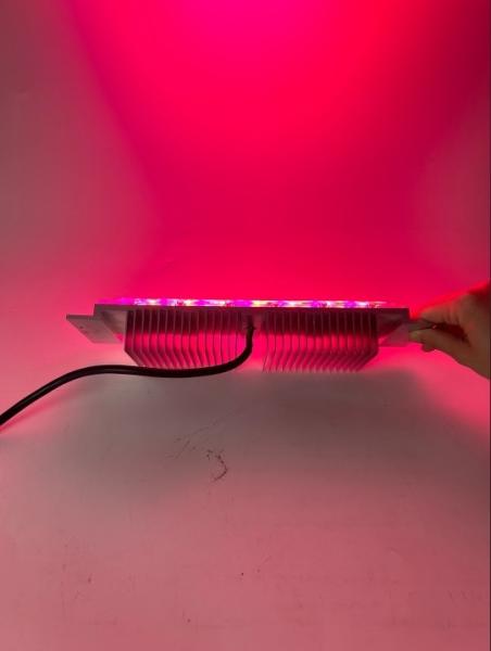 LED Grow Light Module 30W 50W RGB Colorful Outdoor Garden Spot Lights