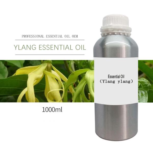 Ylang Ylang Essential Oil Yellow Flowers 1000ml Pure Natural Plant Essential Oil