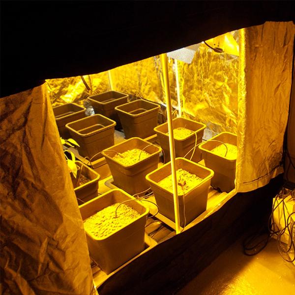 600D Oxford Cloth Hydroponics Plant Indoor Grow Room Can Install Light And Fans