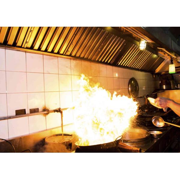 Pocket Size Portable Aerosol Fire Extinguisher Commercial Kitchen Fire Guard