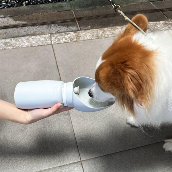 Outdoor 550ml 19oz Dog Water Bottle Dispenser White Collapsible Dog Water Feeder
