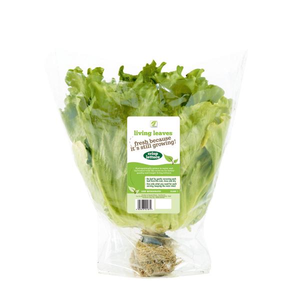 Vegetable Salad OPP Packaging Bag Biodegradable Printed Self Adhesive