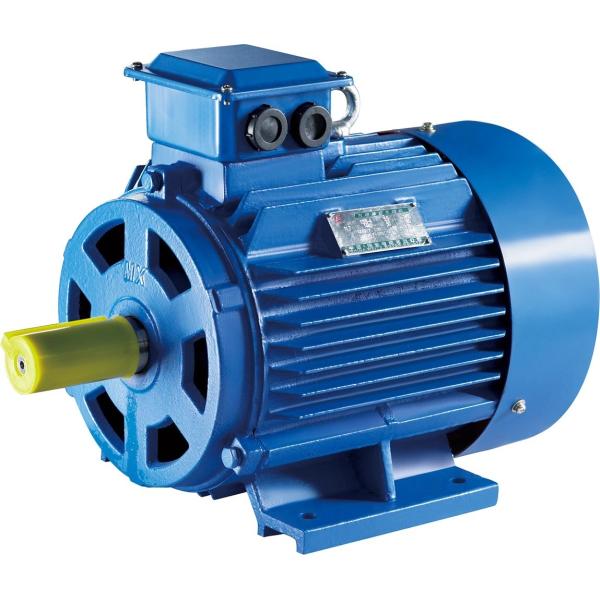 1.5HP 3 Phase 380V 750W 1.1kw 1.5kw 1.8kw 2.2kw 3kw 4kw AC Motor Full load speed 5200RPM±5%