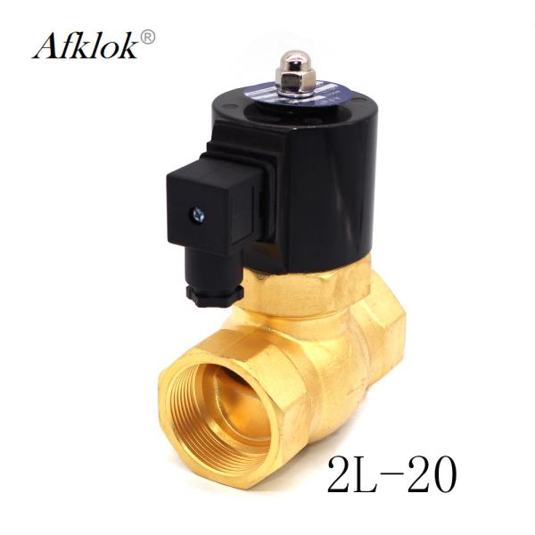 AC220V AC110V High Temperature Brass 3/4 Steam Solenoid Valve