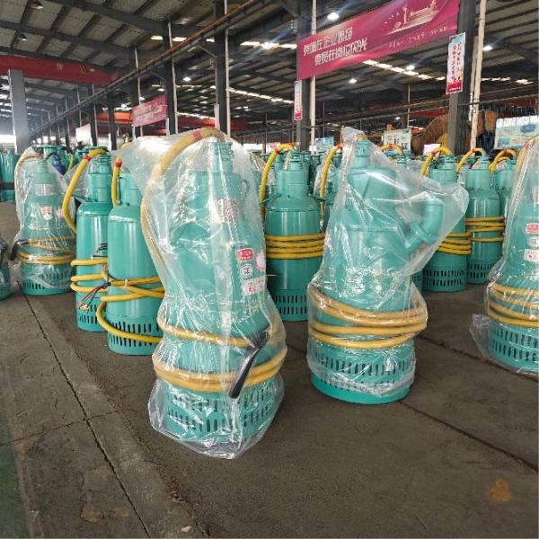 Flood Removal And Agricultural Portable Submersible Water Pump 15m³/H 30m 4kw 1hp-10hp