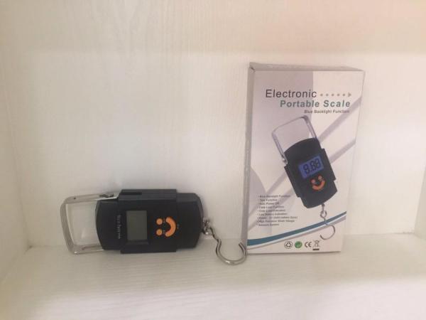Balance numérique portable à crochet avec écran LCD bleu Mini 50kg/10g Balance de pêche électronique suspendue Support personnalisé