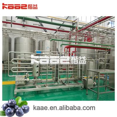 Turnkey SUS304 Bayberry Berry Juicer Machine Fruit Juice Equipment