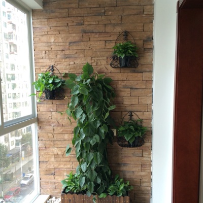 Green Flower Stand Hanging Wall Indoor Balcony Hanging Semi-Circular Flower Stand