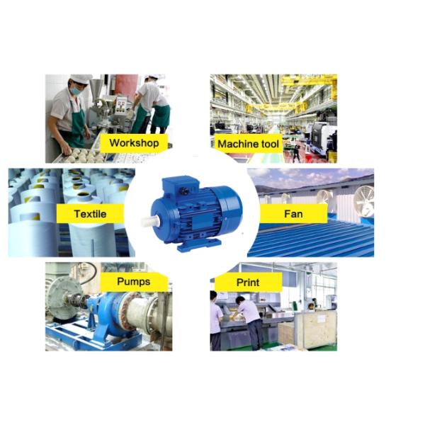 Серия MS мотор водяной помпы мотора индукции 3 участков асинхронный электрический