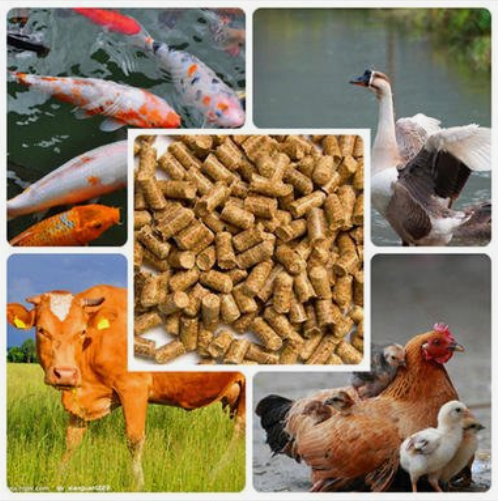 Copper Proteinate 20% Organic Cu Green Powder for Livestock Feed