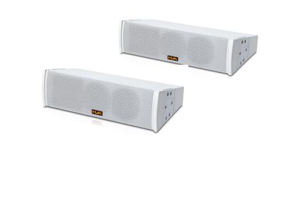 300 Watt Concert Sound System  Active Line Array Speaker Dual 6 8ohm With White Paint