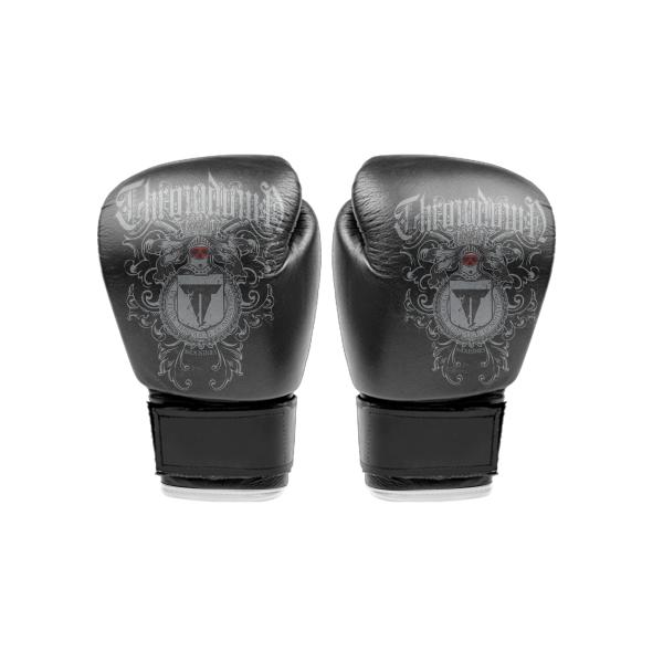 2.5KG Durable Exercise Boxing Gloves Fashion MMA Kickboxing Gloves