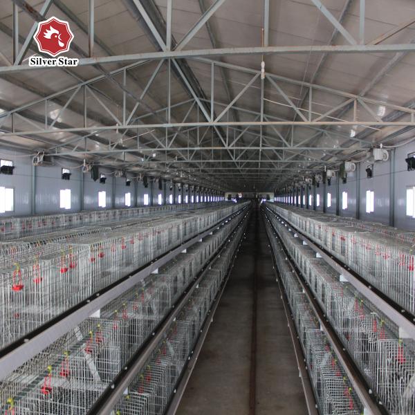 Corrosão de aço de Chick Poultry Raising Equipment Galvanized do bebê da grelha anti