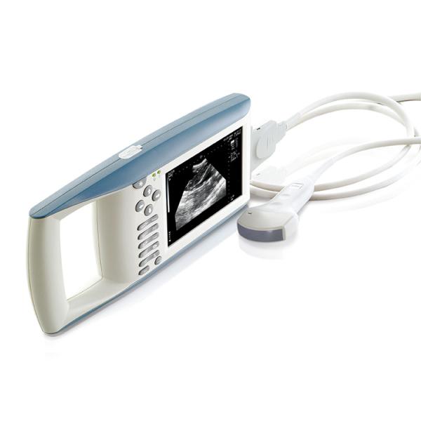 B Mode Medical Ultrasound Machine Diagnostic KX5100 VET Veterinary  Instruments