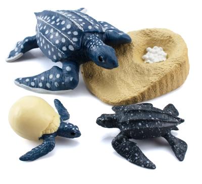4 PCS Oceano Mar Modelo de animais marinhos Figuras Ciclo de vida Tartaruga Figura de couro