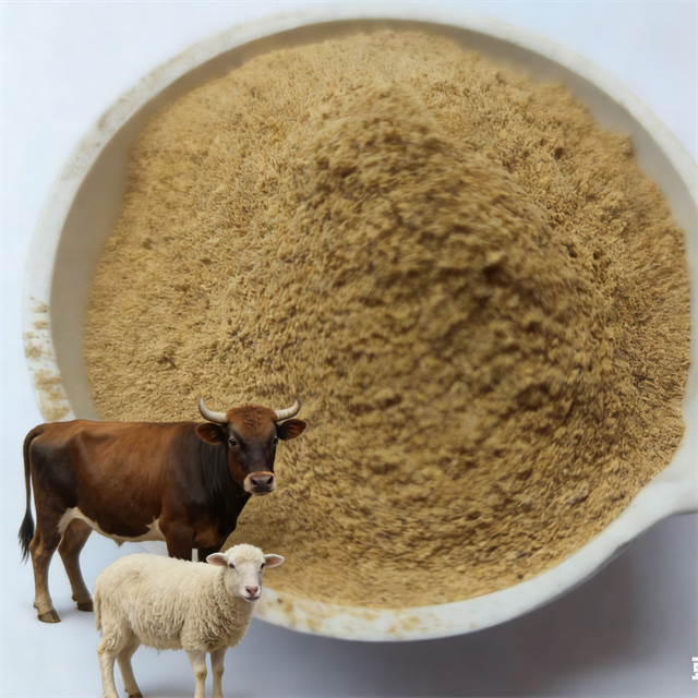 Feed Additive Bacterial Protein Powder Animal Protein For Mycobacterialc Thainland
