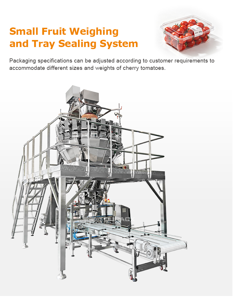 Linear Weigher Automatic Cherry Tomato Fruit Vegetable Tray Sealing Packaging Line With High Precision Weighing System