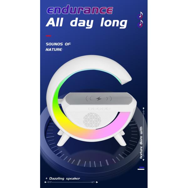 Rechargeable Battery Wireless Bluetooth Speaker For Music Streaming