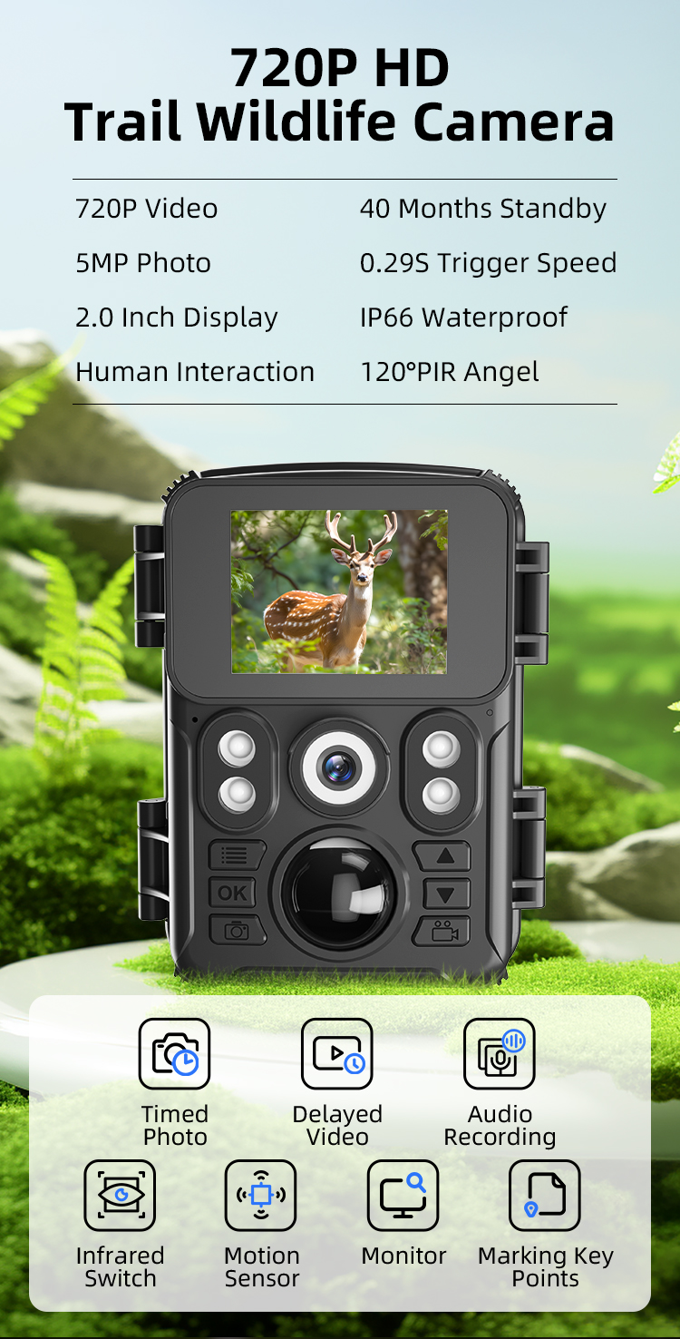 Factory Direct 720P HD Trail Hunting Camera Outdoor Wildlife Waterproof IR Night Vision Trail Camera Animal Trap Mini Camera