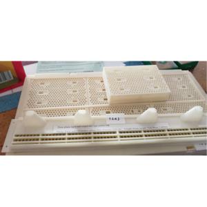 Piège de boîte de rangement de reines des abeilles d'accessoires de ruche d'outils d'apiculture et de pollen de ruche