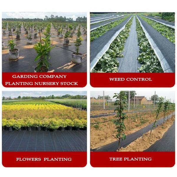 Сплетенная PP засорителя HDPE ткани ландшафта 4mm циновка пластикового анти- садовничая