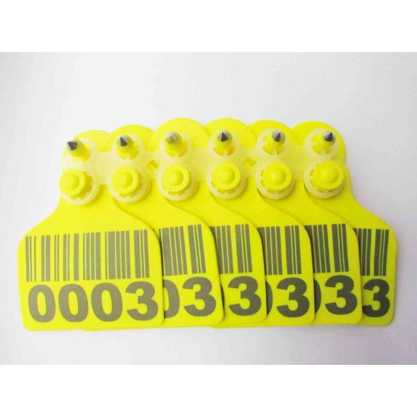 animal cattle ear tags,cow ear tag