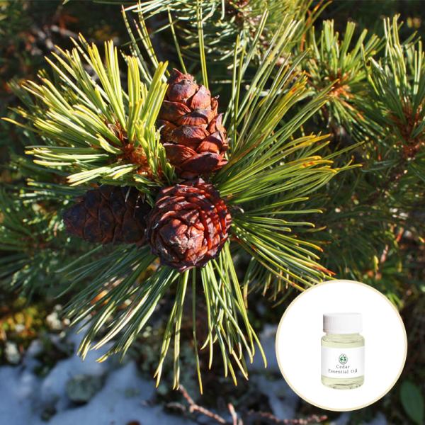 Cosmetics Pure Organic Essential Oils Red Cedar Essential Oil CAS 8007-20-3