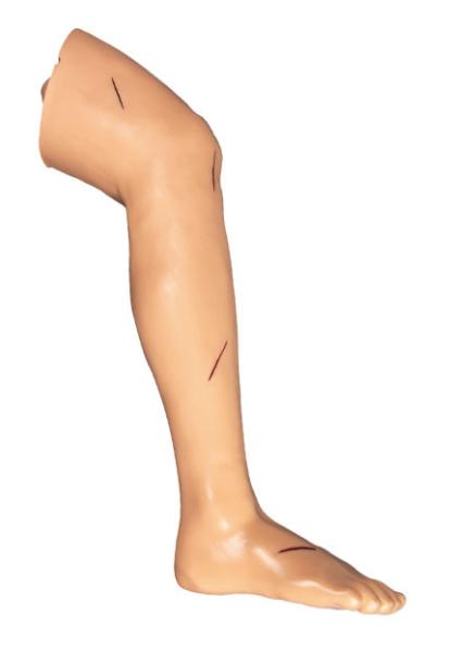 Adult suture leg and arm kit Surgical Training Models for student education
