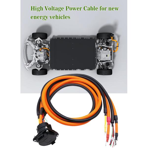 CTS Промышленное электрическое транспортное средство Мотоциклетная кабельная сборка Автомобильная проводка