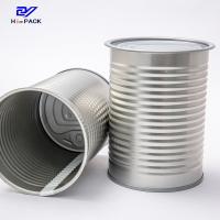 D73x103mm Boîtes en fer blanc 400ml Boîte de peinture en métal vide avec couvercle