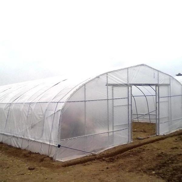 UV Resistant Single Span 200 Micron Plastic Film Polyethylene Film Greenhouse