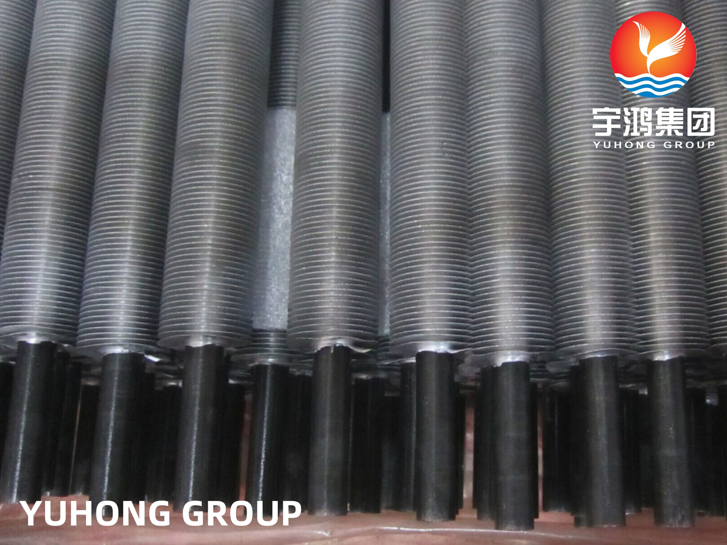 ASTM A179 Wound-Fin Tube for Pasta Pre-Dryers and Main Dryers
