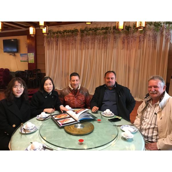 CJ160 European Type Jaw Crusher with Stable Operation