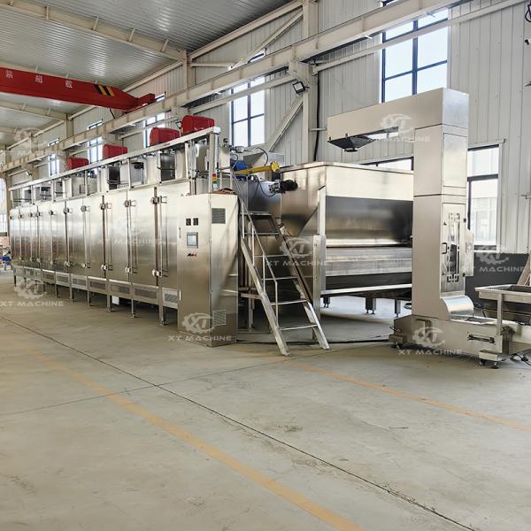 Machine de torréfaction continue de noix 500 kg/h en acier inoxydable à commande PLC